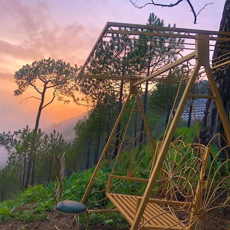 The Westberry 50Mtrs Offroading And 50 Mtrs Nature Path Bed & Breakfast Shimla Exterior foto